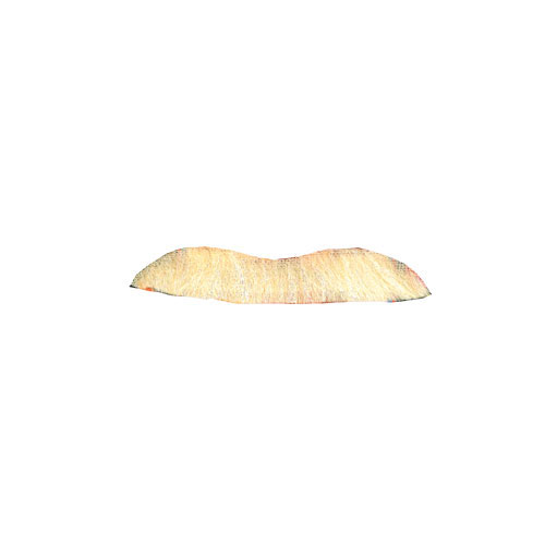 Moustache Longue Blonde