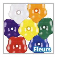 Ballons Fleurs