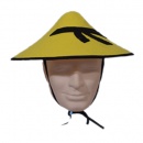 Chapeau Chinois au meilleur prix