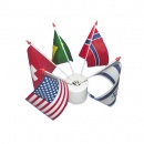 Drapeaux Nation (sachet de 100) au meilleur prix