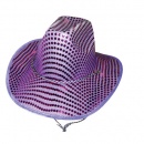 Chapeau Pailettes Violet