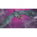 Chauve Souris