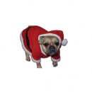 Costume du père Noël pour chien au meilleur prix