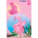 Ballons à modeler kit cygne