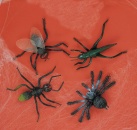 Insectes Géants au meilleur prix