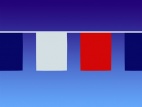 Guirlande 15 Fanions Rectangle 20x30cm - Bleu blanc rouge