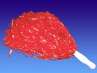 Pom-pom Luxe Rouge avec poignée