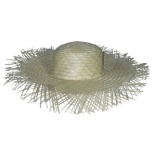 Chapeau Havana