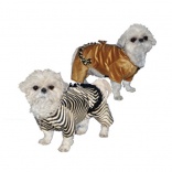 Costume pour chien