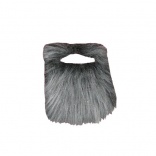 Barbe Raide Grise