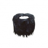 Barbe Raide Noire