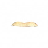 Moustache Longue Blonde
