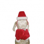 Set Noël Pour Chien