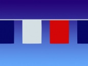Guirlande 15 Fanions Rectangle 20x30cm - Bleu blanc rouge au meilleur prix