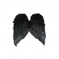 Ailes d'ange noires adulte au meilleur prix