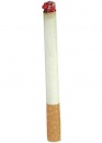 Cigarette Incandescente au meilleur prix