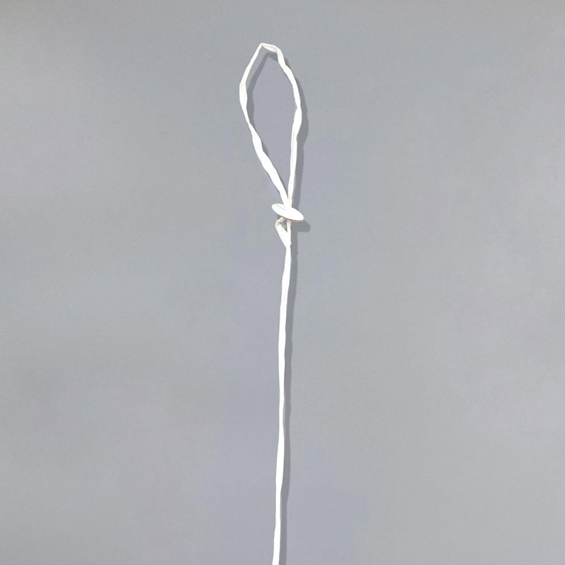 Attache avec Ruban Bio par 50