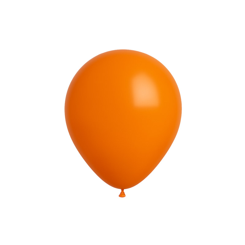 Ballon Couleurs Standard 13cm par 25