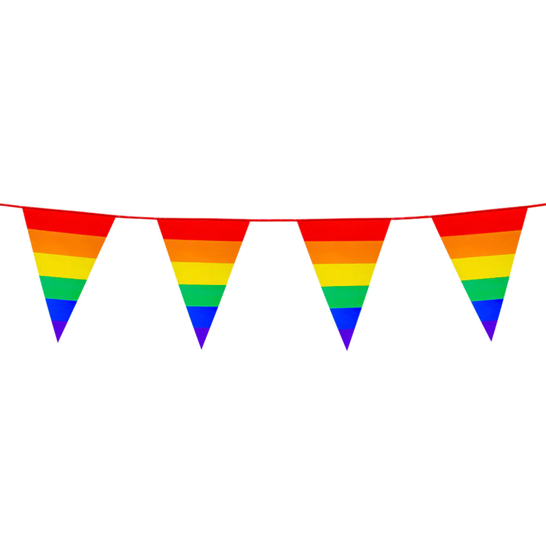 Guirlande Fanions Arc en Ciel 10m