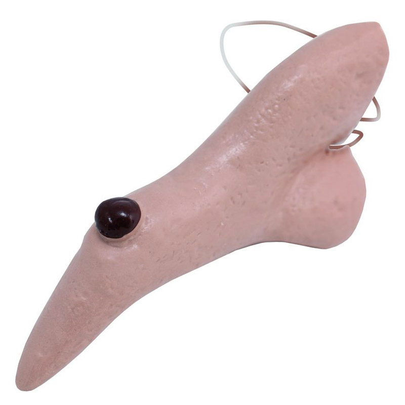 Nez de Sorci&egrave;re