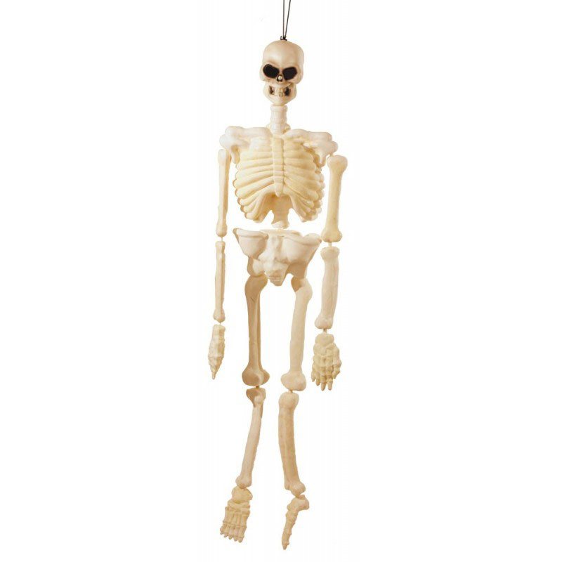 Squelette en plastique 150cm