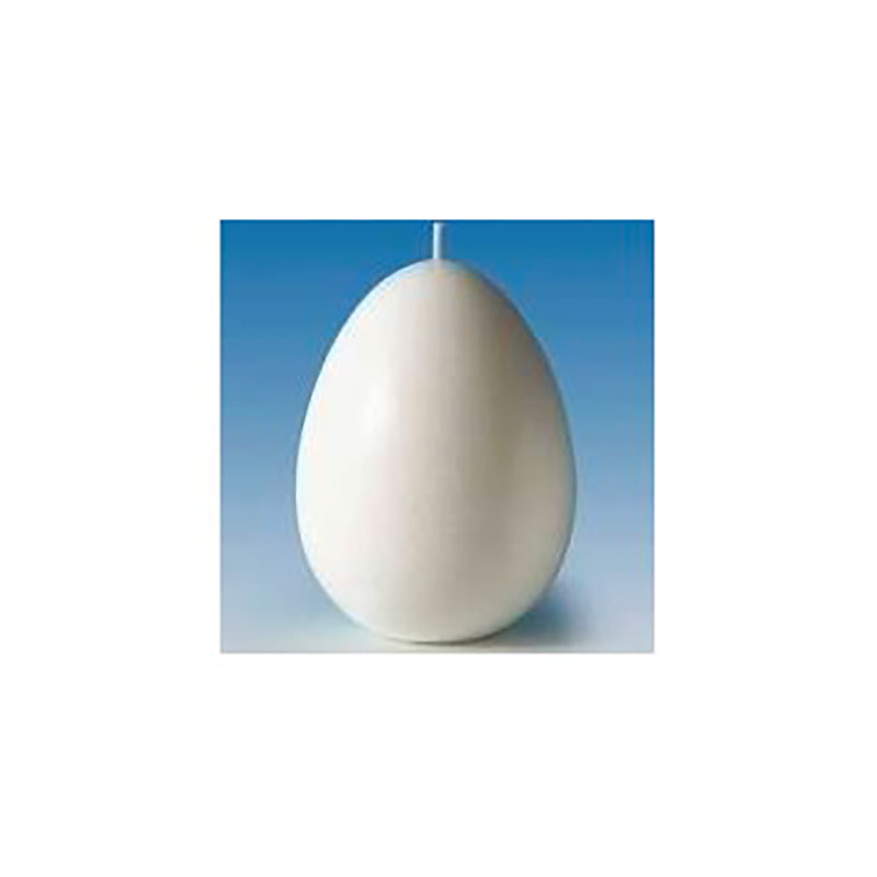 Moule Oeuf pour bougie