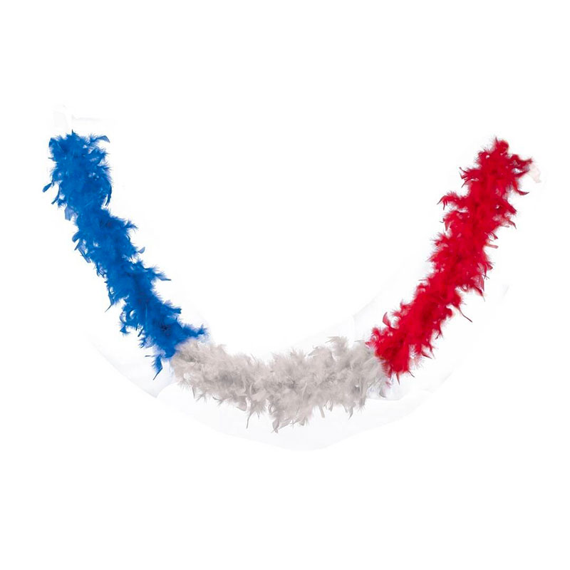 Boa Plumes 1,80m 50 gr tricolore