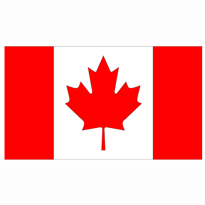 Drapeau en polyester 90X150 (divers pays)