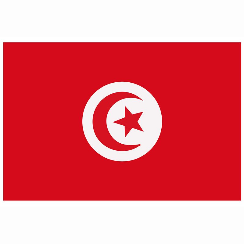 Drapeau en polyester 90X150 (divers pays)