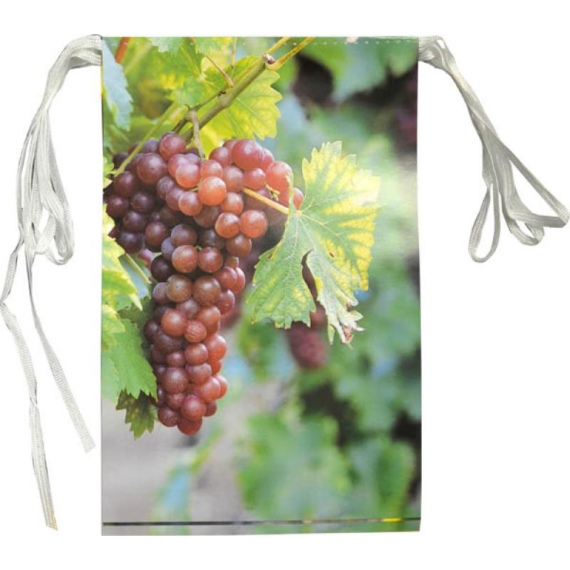 Guirlande Papier Fanions 4m Fête du Vin par 10