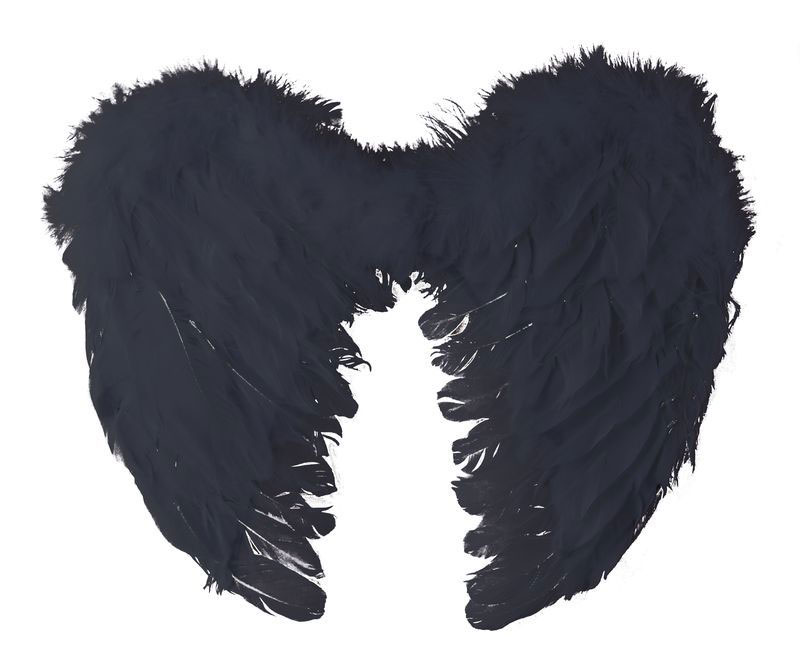 Ailes d'ange en plumes noires 40cm