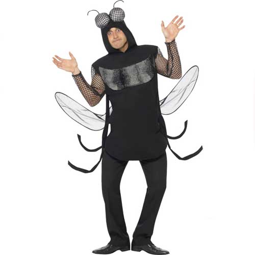 D&eacute;guisement Mouche adulte