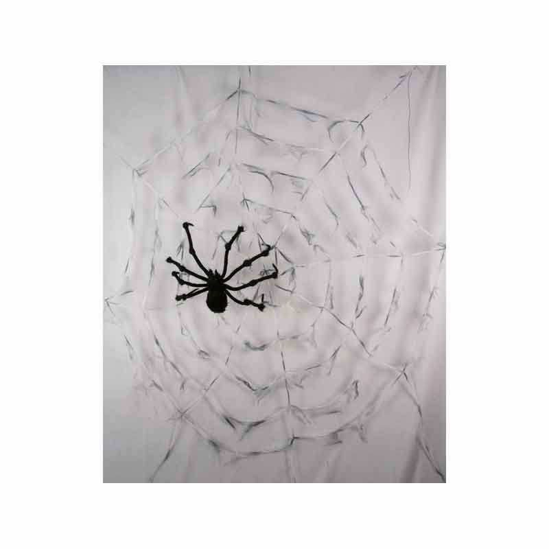 Toile d'Araignée Super Géante avec araignée