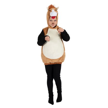 D&eacute;guisement poney enfant