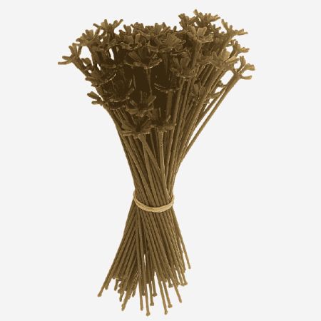 Tige &agrave; Ballon monobloc biodegradble