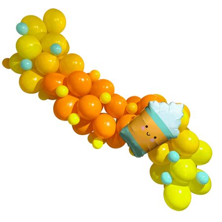 Kit Guirlande Organique Orange