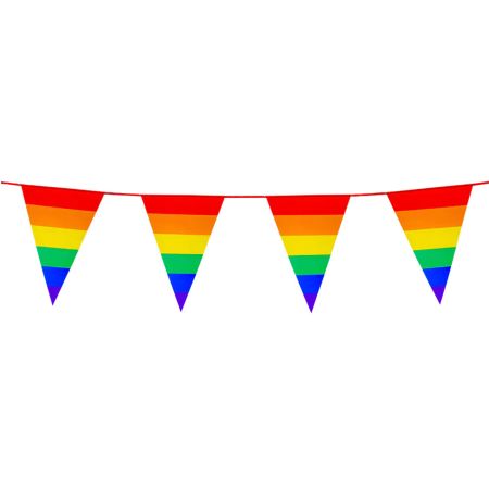Guirlande Fanions Arc en Ciel 10m