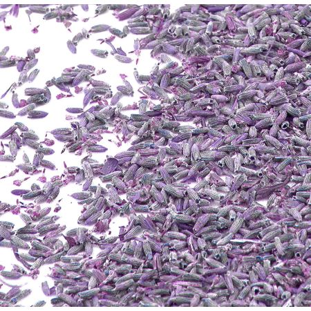 Fleur de lavande &agrave; lancer