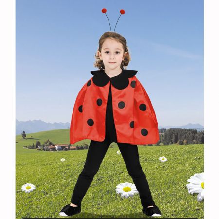 D&eacute;guisement Coccinelle set enfant