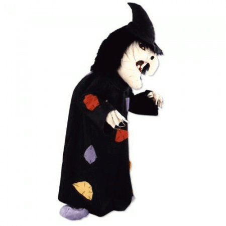 D&eacute;guisement mascotte sorci&egrave;re