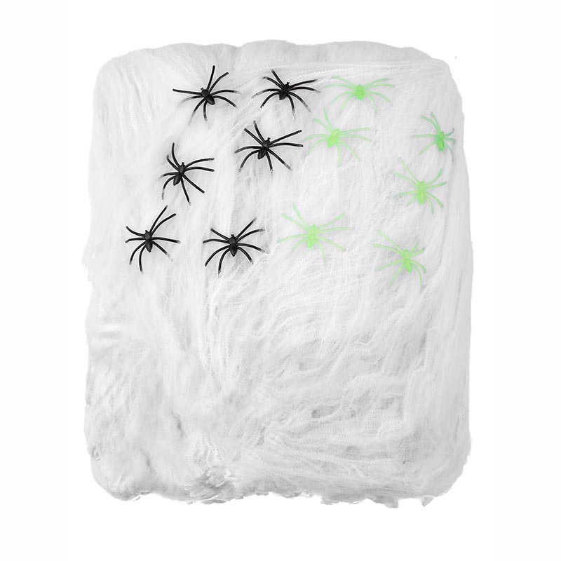 Toile d'Araignée Blanche 500g