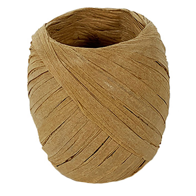 Ruban papier Raphia (divers coloris)