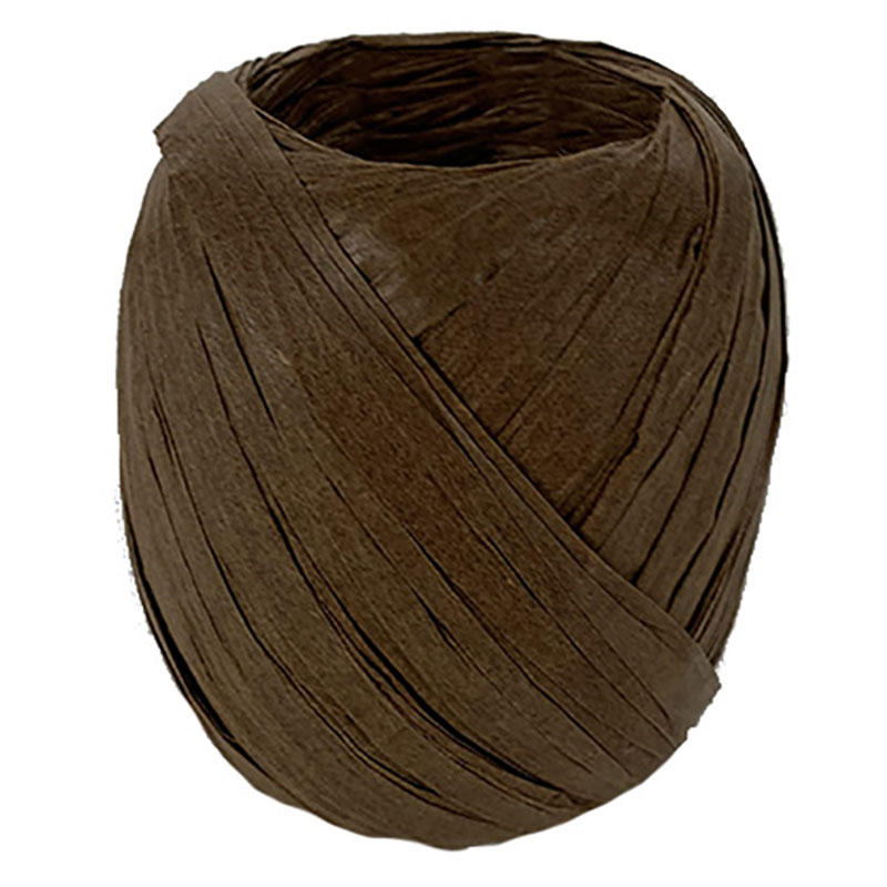 Ruban papier Raphia (divers coloris)