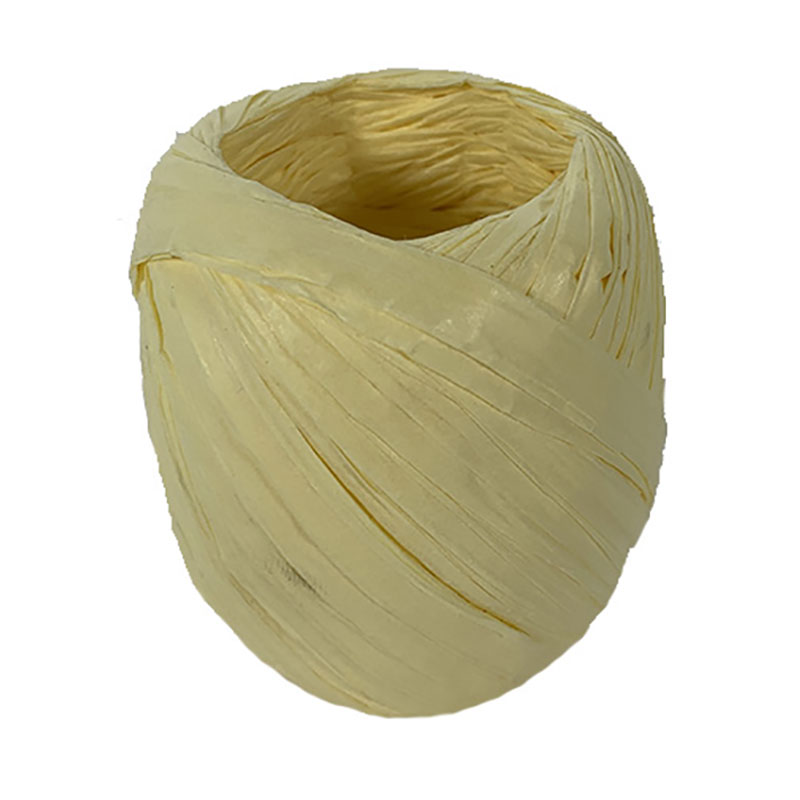 Ruban papier Raphia (divers coloris)