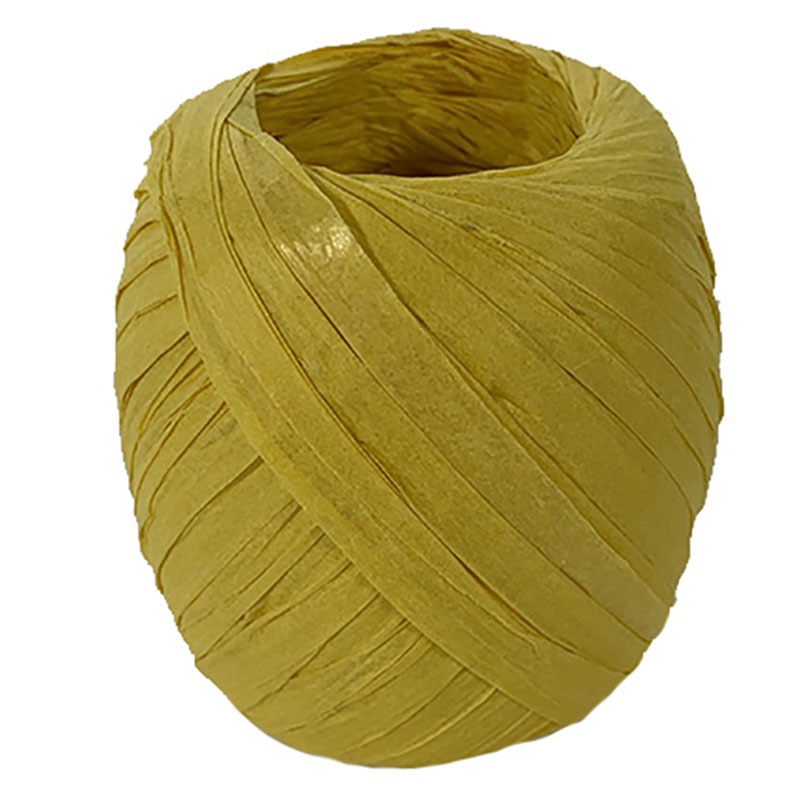 Ruban papier Raphia (divers coloris)