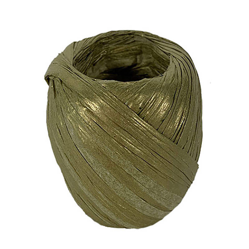 Ruban papier Raphia (divers coloris)