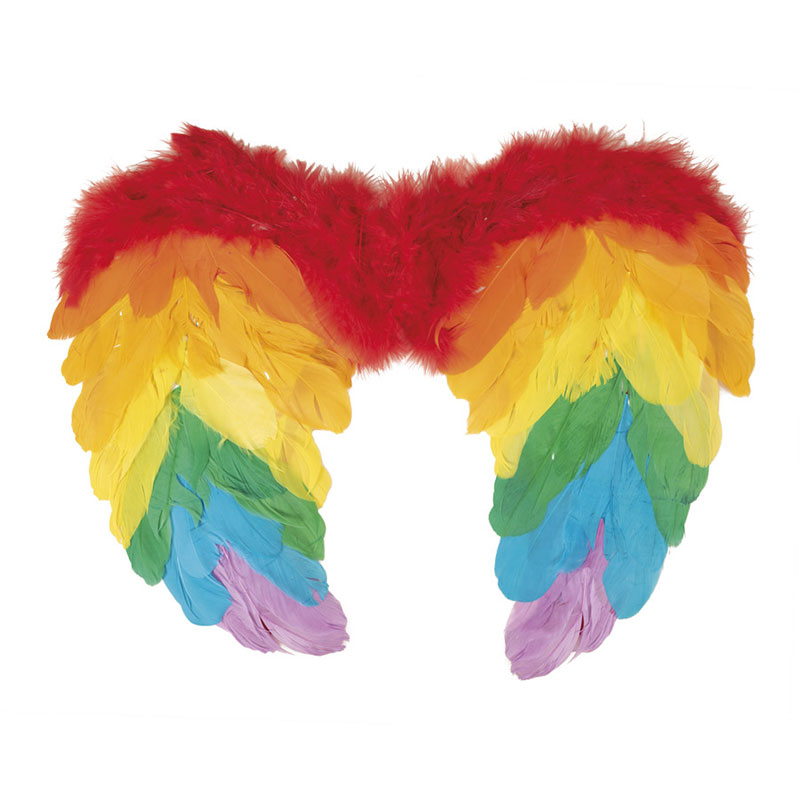 Ailes Plumes Arc en ciel