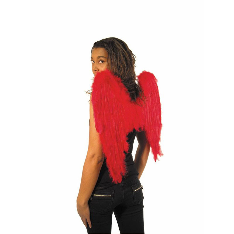 Ailes d'ange 50cm pliables (divers coloris)