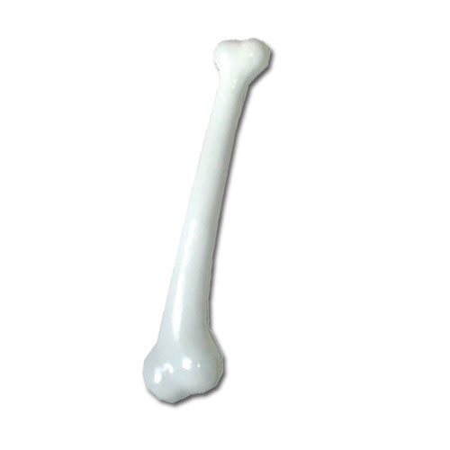 Os Des Cavernes 40 cm