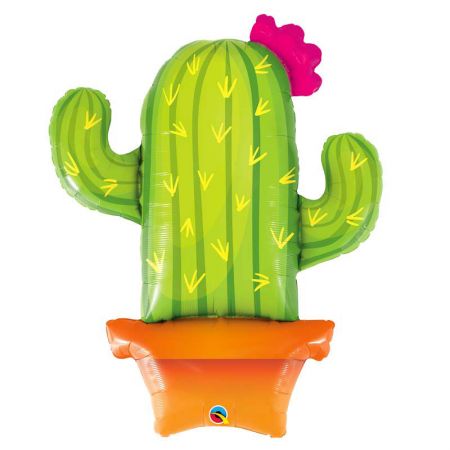 Ballon Cactus en pot
